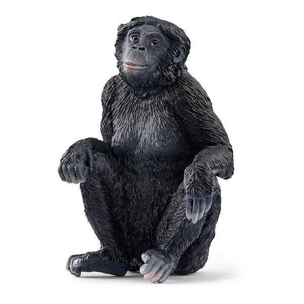 Schleich 14875 Bonobo Hembra - Imagen 1