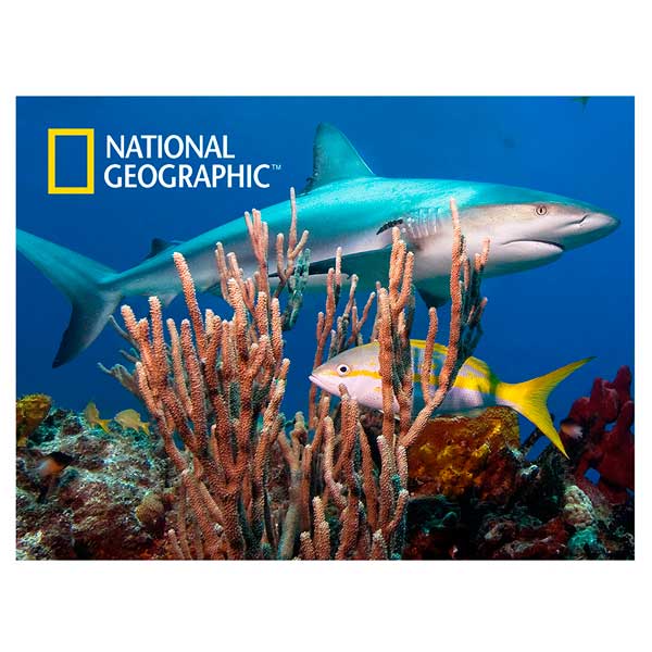 National Geographic Prime 3D Puzzle 500p Tiburón - Imagen 1