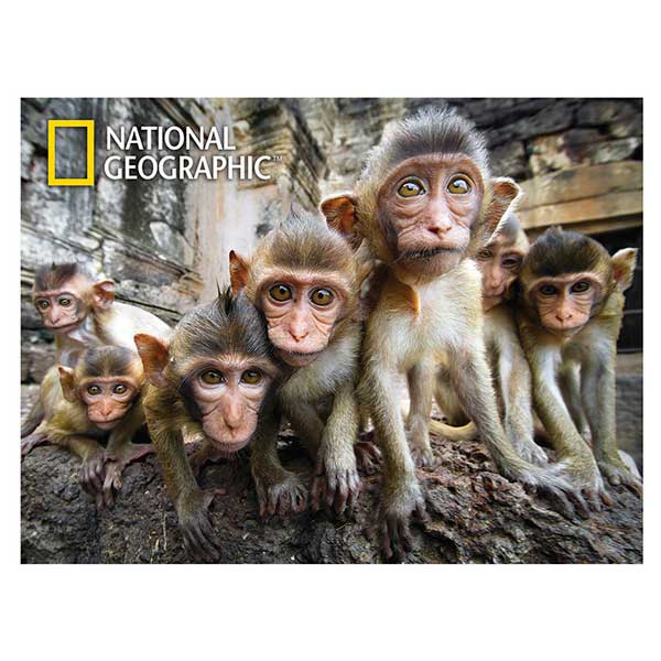 National Geographic Prime 3D Puzzle 500p Macacos - Imagem 1