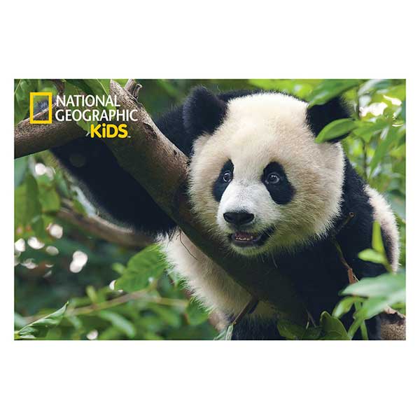 National Geographic Prime 3D Puzzle 150p Panda Gigante - Imagem 1