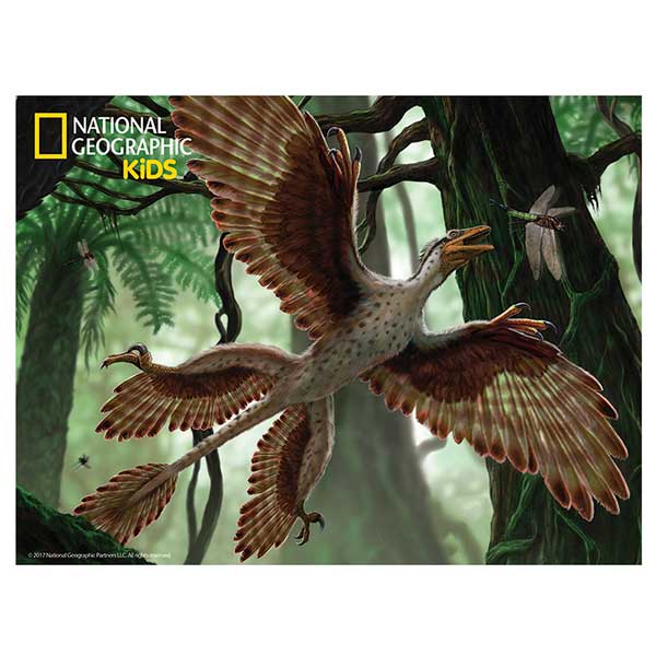 National Geographic Prime 3D Puzzle 63p Microraptor - Imagen 1