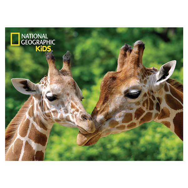 National Geographic Prime 3D Puzzle 48p Girafas - Imagem 1