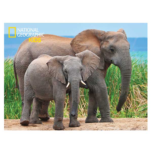 National Geographic Prime 3D Puzzle 100p Elefantes - Imagen 1