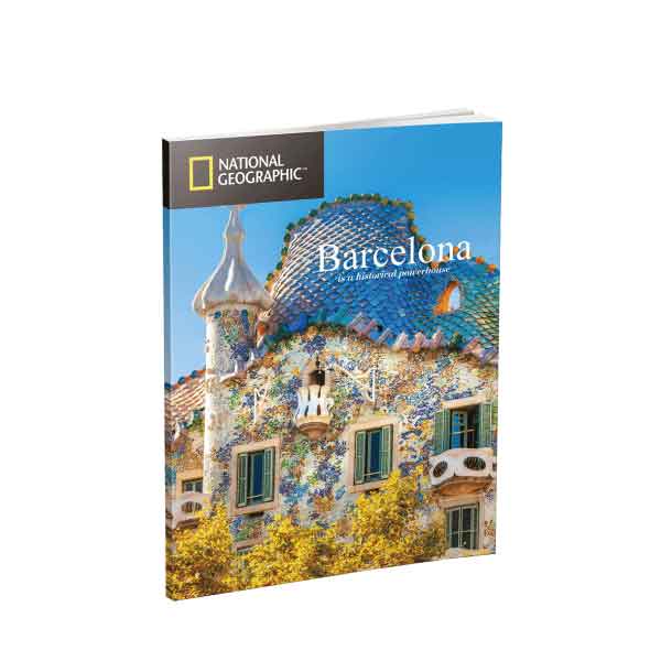 National Geographic Puzzle 3D La Sagrada Familia - Imagen 2
