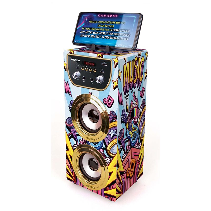 Karaoke infantil con microfonos Golden Star - Imagen 2